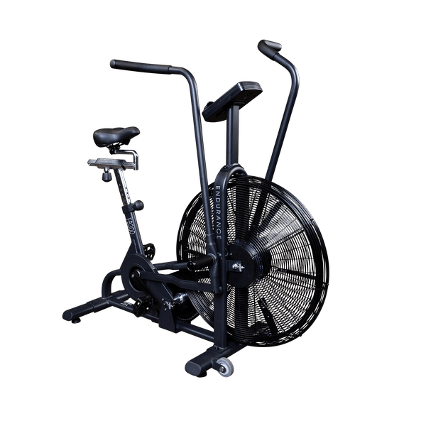 endurance fan bike FB300B